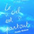Le ciel est partout - Jandy Nelson