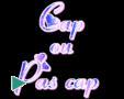 Meilleurs Voeux 2007