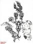 Dessins Perso (10)  Noir et Bl