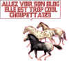 Un peux de Pub cela fait Plais
