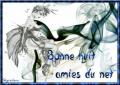 Bonne nuit amies du net