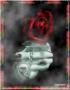 La Rose...