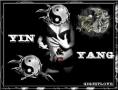 Yin & Yang