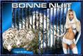 Bonsoir mes amies et Bonne nui