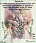 KDO pour Bouletteblonde :  Fle