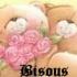 Bonjour mes amies  