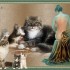 femme aux chats