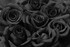 Les roses noires