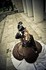Les Gothiques Steampunk : info