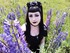 Black Cherry Sherry, youtubeus