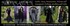 Moonmaiden Gothic Clothing