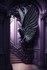 The Dark world of the Goth