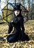 Goths romantiques