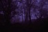 Purple gothic
