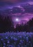 Purple gothic
