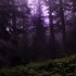 Purple gothic