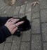 Gothiques et chats