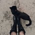 Gothiques et chats