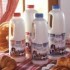 toutes les bouteilles de lait