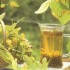 voici des recettes bio pour ê