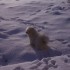 encore et encore de la neige !