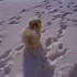encore et encore de la neige !