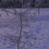 je suis toujours sous la neige