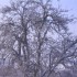 je suis toujours sous la neige