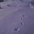 je suis toujours sous la neige