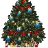 le petit sapin