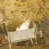 il caille dur !