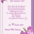 vive les mamans et futures mam