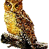 histoire de hibou.
