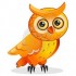 histoire de hibou.