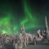 L'appariton de la nuit polaire