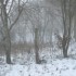 surprise !