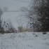 sous la neige.