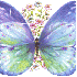les papillons