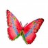 les papillons