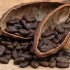 petite histoire sur le chocola