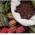 petite histoire sur le chocola