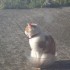 chouette du soleil !