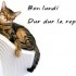 suite et fin !