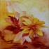 Roses d'automne.