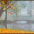 Automne malade !