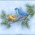 Les oiseaux déguiser