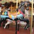 chevaux de bois