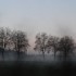 En Hiver !