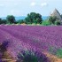 La nature !