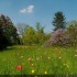 ça sent bon le printemps !